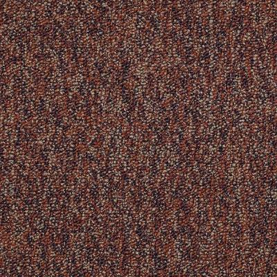 Shaw Carpet Tile Sound Advice Tile Counsel Shaw Shaw 