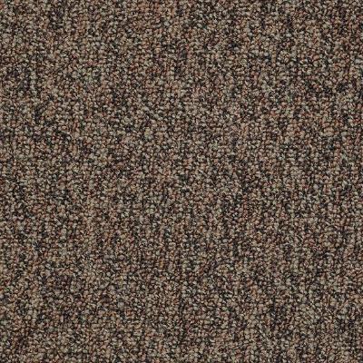 Shaw Carpet Tile Sound Advice Tile Plan Ahead