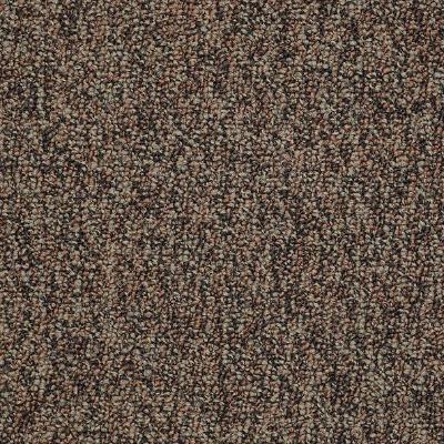 Shaw Carpet Tile Sound Advice Tile Plan Ahead Shaw Shaw 