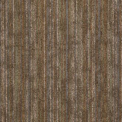 Shaw Carpet Tile Hook Up Energize Shaw Shaw 