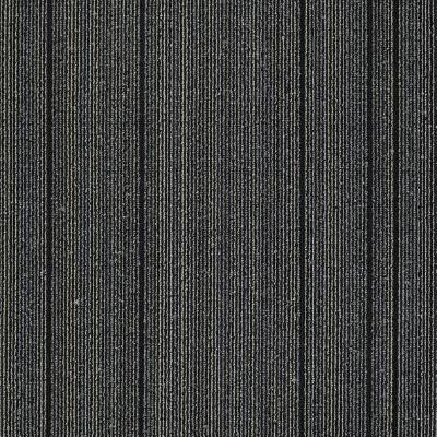 Shaw Carpet Tile Wired Startled