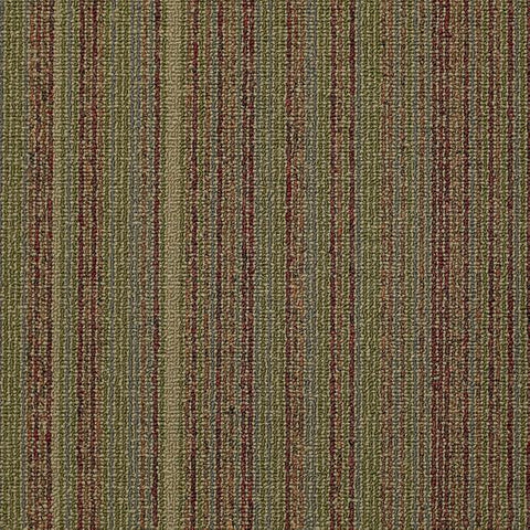 Shaw Carpet Tile Wired Juice Shaw Shaw 