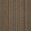 Shaw Carpet Tile Wired Energize Shaw Shaw 