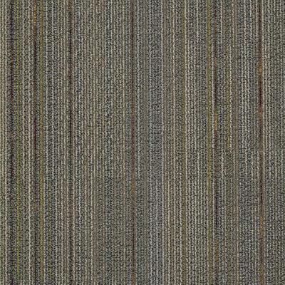 Shaw Carpet Tile Unify To Harmonize Shaw Shaw 