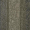 Shaw Carpet Tile Static Circuit Shaw Shaw 