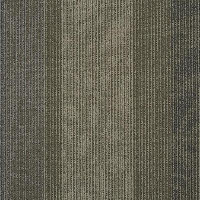 Shaw Carpet Tile Static Circuit Shaw Shaw 