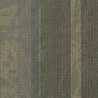 Shaw Carpet Tile Static Signal Shaw Shaw 