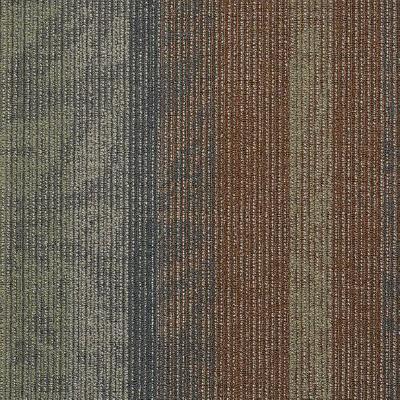 Shaw Carpet Tile Static Co-Channel Shaw Shaw 