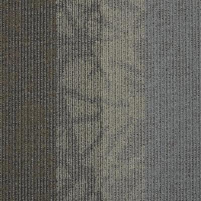 Shaw Carpet Tile Static Velocity Shaw Shaw 