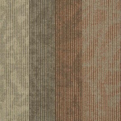 Shaw Carpet Tile Static Radar Shaw Shaw 