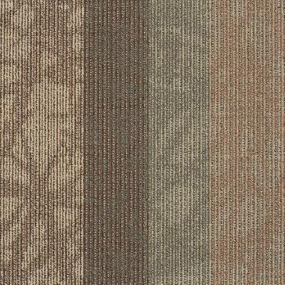 Shaw Carpet Tile Static Frequency Shaw Shaw 