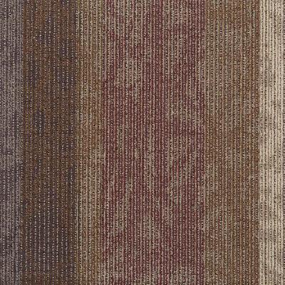 Shaw Carpet Tile Static Echo Shaw Shaw 