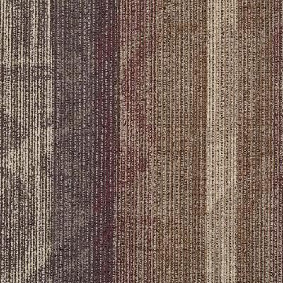 Shaw Carpet Tile Feedback Echo