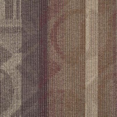 Shaw Carpet Tile Feedback Echo Shaw Shaw 