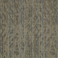Shaw Carpet Tile Amaze Daze Shaw Shaw 