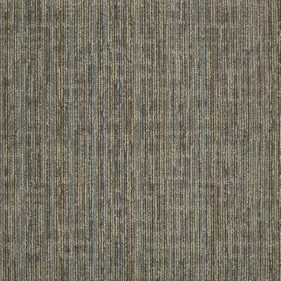 Shaw Carpet Tile Mystify Daze Shaw Shaw 