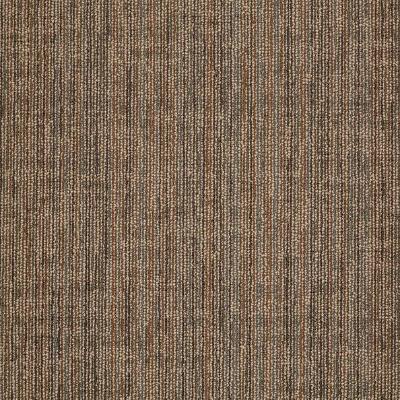 Shaw Carpet Tile Mystify Bewilder