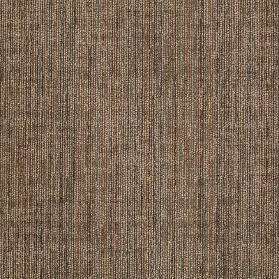 Shaw Carpet Tile Mystify Bewilder Shaw Shaw 