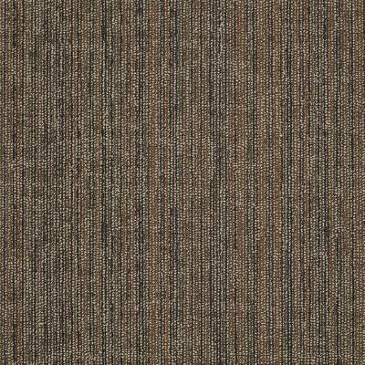 Shaw Carpet Tile Mystify Baffle Shaw Shaw 