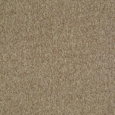 Shaw Carpet Tile Multiplicity Plethora 24”