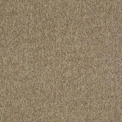 Shaw Carpet Tile Multiplicity Plethora 24” Shaw Shaw 