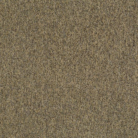 Shaw Carpet Tile Multiplicity Abundance 24” Shaw Shaw 