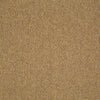 Shaw Carpet Tile Multiplicity Expansive 24” Shaw Shaw 