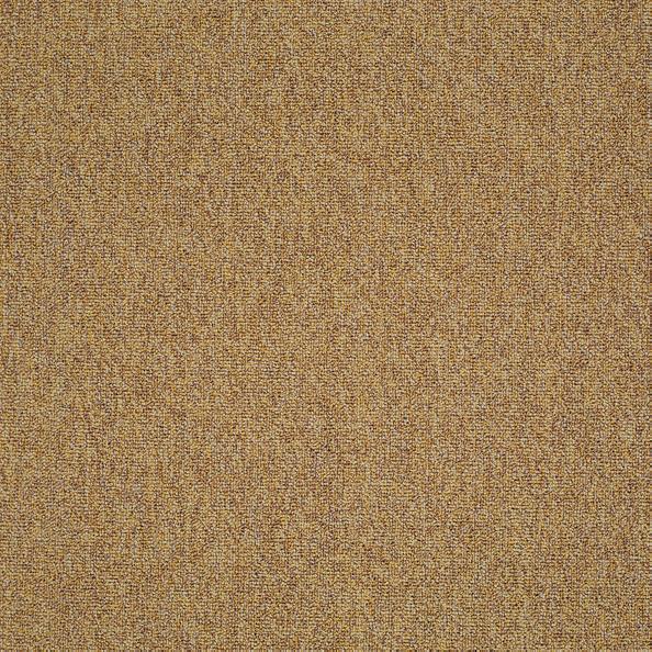 Shaw Carpet Tile Multiplicity  Expansive 24”