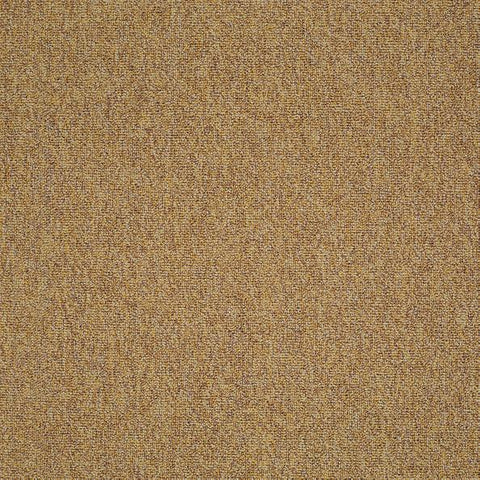 Shaw Carpet Tile Multiplicity Expansive 24” Shaw Shaw 