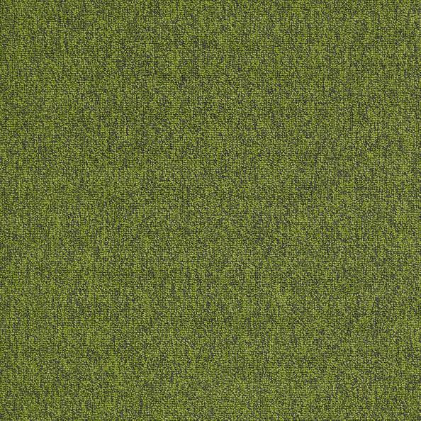 Shaw Carpet Tile Multiplicity Exuberant 24”