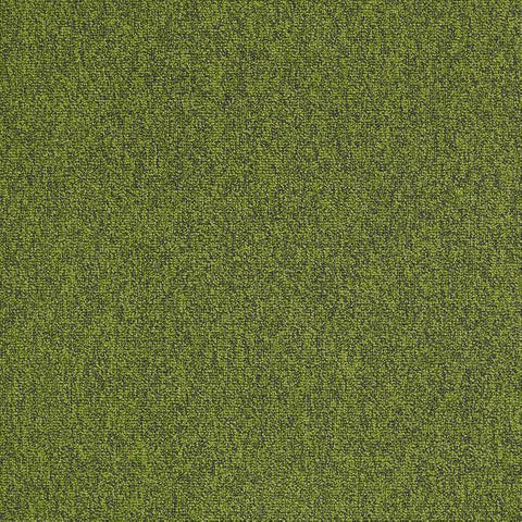 Shaw Carpet Tile Multiplicity Exuberant 24” Shaw Shaw 