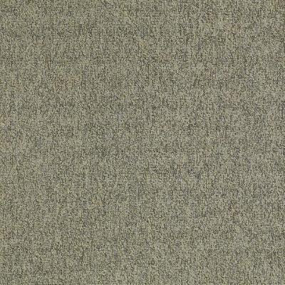 Shaw Carpet Tile Multiplicity Batch 24”