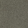 Shaw Carpet Tile Multiplicity Cluster 24” Shaw Shaw 