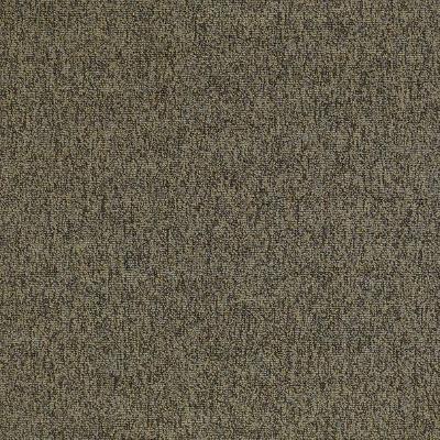 Shaw Carpet Tile Multiplicity Oodles 24”