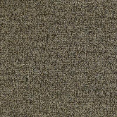 Shaw Carpet Tile Multiplicity Oodles 24” Shaw Shaw 