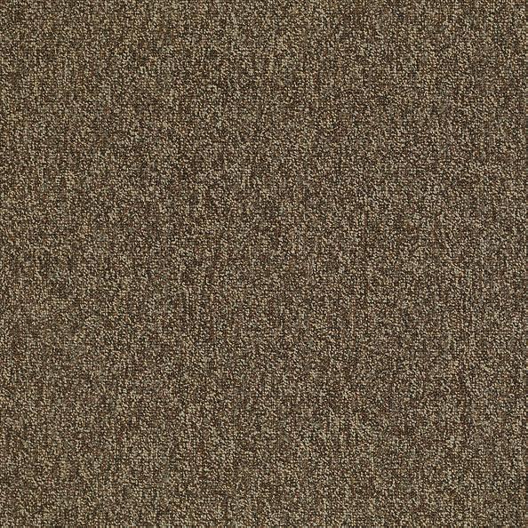 Shaw Carpet Tile Multiplicity Exuberance 24”