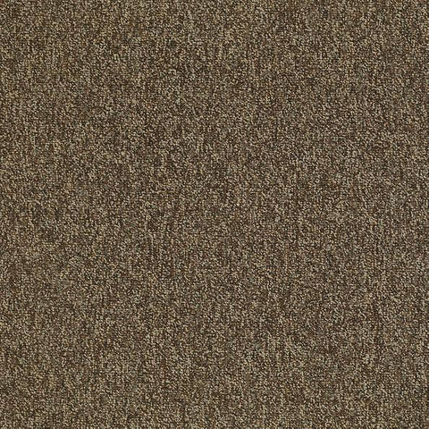 Shaw Carpet Tile Multiplicity Exuberance 24” Shaw Shaw 