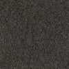 Shaw Carpet Tile Multiplicity Volume 24” Shaw Shaw 