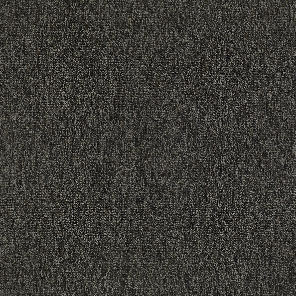 Shaw Carpet Tile Multiplicity Volume 24”