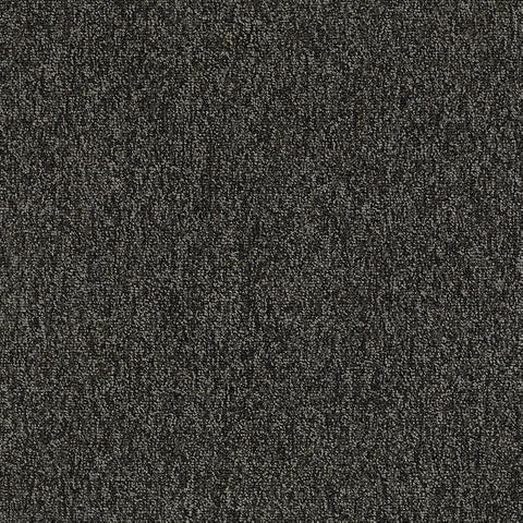 Shaw Carpet Tile Multiplicity Volume 24” Shaw Shaw 