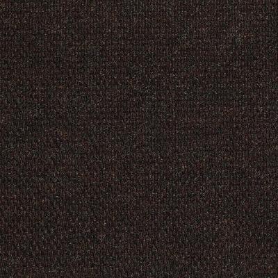 Shaw Carpet Tile Succession II Dark Earth Shaw Shaw 