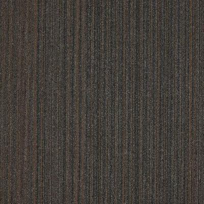 Shaw Carpet Tile Lucky Break Luck Of The Draw Shaw Shaw 