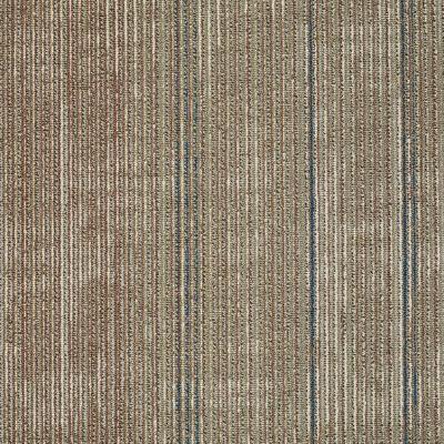 Shaw Carpet Tile Material Effects Distressed Shaw Shaw 