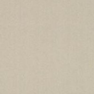 Shaw Carpet Tile Color Accents Oatmeal 18" Shaw Shaw 