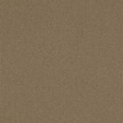 Shaw Carpet Tile Color Accents Tobacco 18