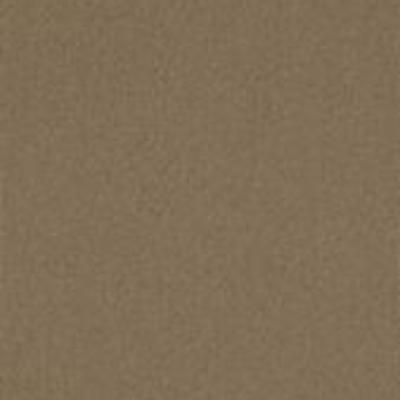 Shaw Carpet Tile Color Accents Tobacco 18" Shaw Shaw 