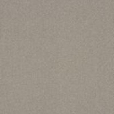 Shaw Carpet Tile Color Accents Mineralite 18" Shaw Shaw 