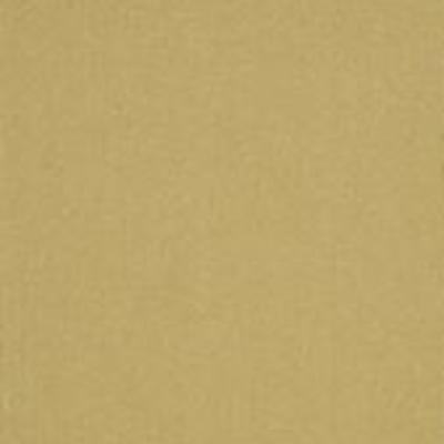 Shaw Carpet Tile Color Accents Ochre 18