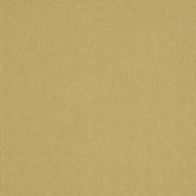 Shaw Carpet Tile Color Accents Ochre18" Shaw Shaw 