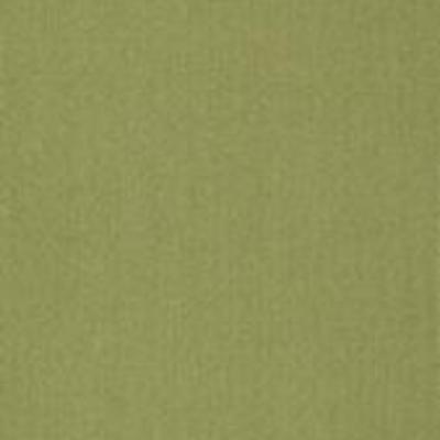 Shaw Carpet Tile Color Accents Brite Green 18